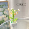 Lumingland potted plants (color box installation)