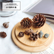 DIY装饰松果干果十字果金钟果干花速卖通蜡烛蜡牌不可以蜡装饰diy