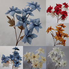 �¿��c���滨��Ϧ���Y�ò��þƵ��ֹ��廨��ˇ�Ż��軨�b�