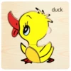 Yellow duck