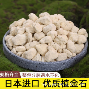 ���lֲ��ʯ�_Ħ���д�Nֲ����m���������m��ʯֲ�����I�B�w��