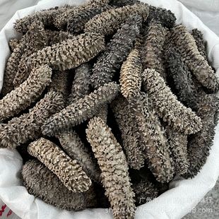 ���x؛÷���� ���l����÷�����ڴ̅�������؛ �\�д���һ�����l