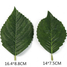 ~l~Gɫ~ӼҾb  G~տ~ֹ