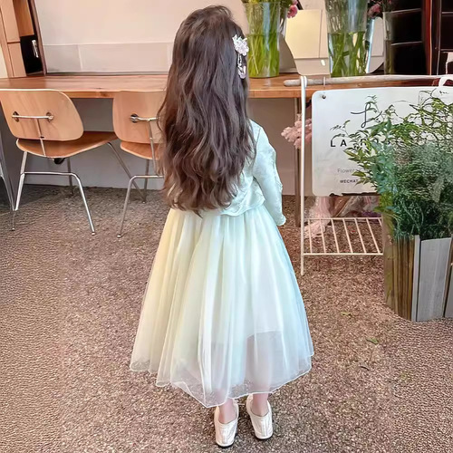 Summer 2024 New Girl's Dress for Baby Girls, Cute Princess Style Children's Long Sleeve Dress