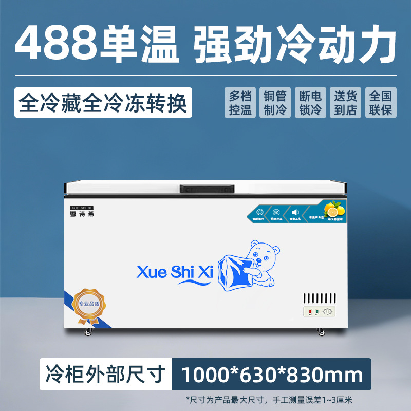 Congelador Xueshixi Congelador comercial horizontal de gran capacidad refrigerado Congelador grande de doble uso Refrigerador de temperatura simple y doble