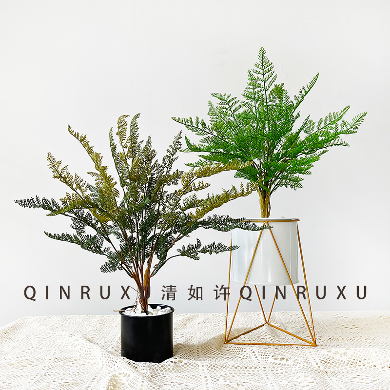 亞馬遜軟膠高山羊齒蕨葉仿真波斯葉蕨草把束仿真綠植物室內