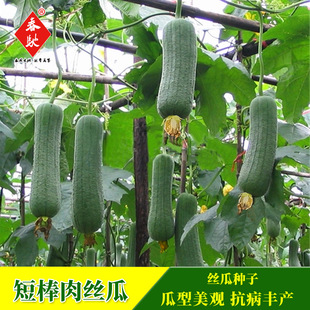 �̰���z�ϷN�����l ����z�����ͥԺ��@�׷N �����߲˹Ϲ��N��