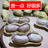 [2 pounds Specials]Boiled Season peanut Longyan specialty Garlic Spiced Dried peanuts 138g More flavor