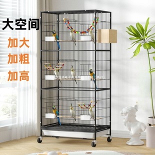 �B�\��ĵ���������B���ӄe����������^�p�\�Ӵ�ֳ�B�\