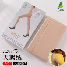 永春360°无痕无缝裆加厚丝袜女120D天鹅绒肉色显瘦春秋连裤袜557