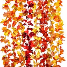 ���R�d�f�}�����~�＾���^�bGֲ����ڒ��}�Q���ٗl��������