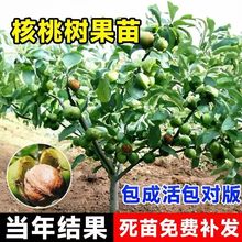 ���Ҙ�����ش�ͥԺ����޽ӱ�����Ƥ��������ϱ����Nֲ����Y��