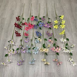 �S�ҟ��N���^�F��ɏ�����m�����P�b����G���Ҿ��b�c�ٻ���ˇ