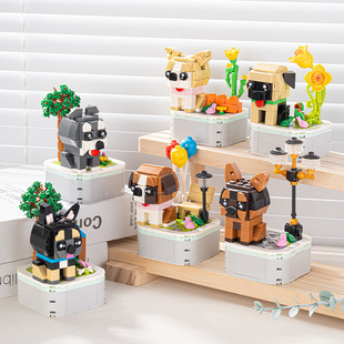 ��ͯ�Ȍ������Էeľ���С�w������ƴ�b�eľ��ߔ[���к�Ů���Y��