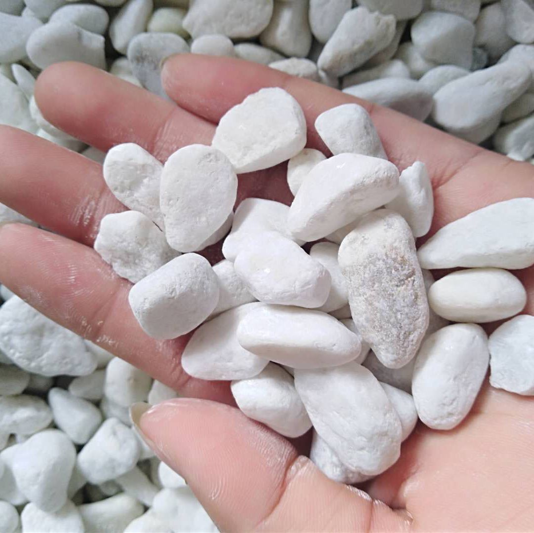 山东白色鹅卵石砾石3-5cm水洗白石子别墅工程造景用鹅卵石白石子
