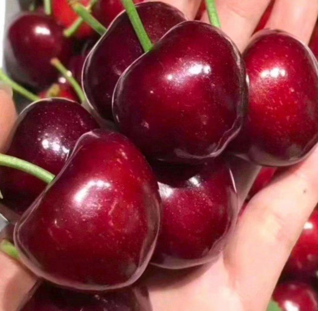 3d64ba36a8b9176609b5bfe50aae47