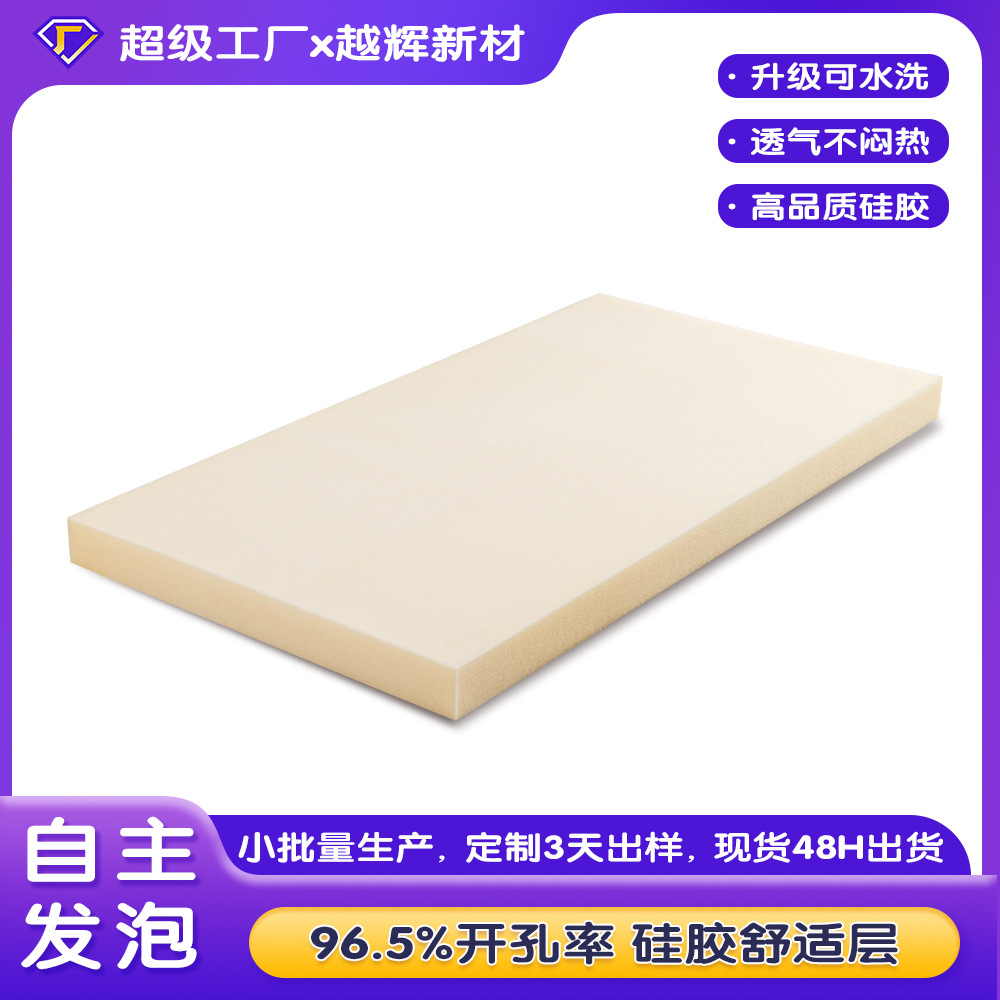 Washable Silicone Mattress Student Dormitory Home Adult Single and Double Tatami Mattress Thin Mattress