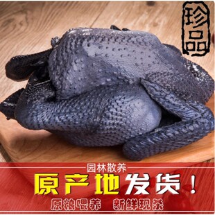 ɢ�B�����u�F�����r���u�r�Ҟ��uС���u���u���r��ĸ�u�ߵ��u��ֻ