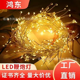 LED装饰灯;室内LED;室外LED