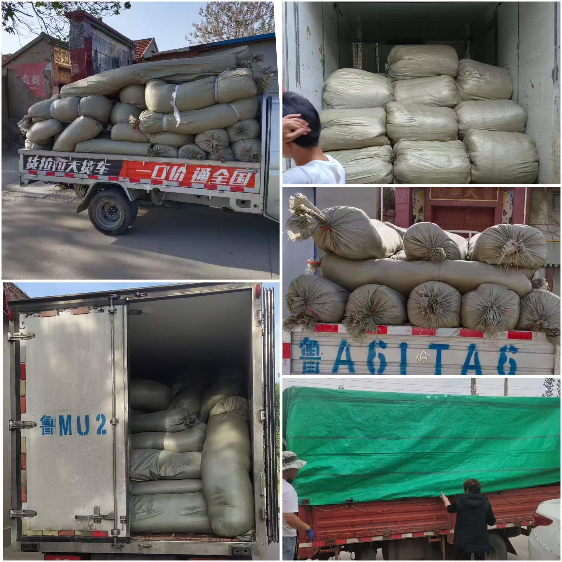 微信图片_20250114095318