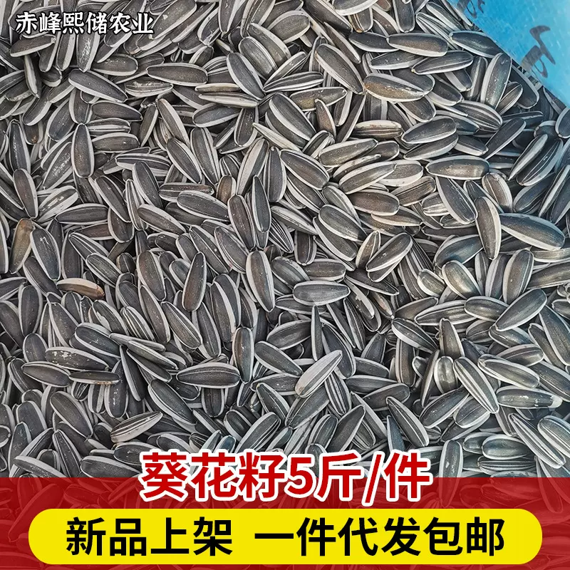 一件包邮新货生葵花籽 大颗粒新鲜葵花子 内蒙大粒向日葵瓜子