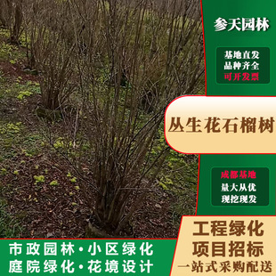 ��ʯ��������l�߶�250~300�ڷ�150~200������ʯ����繤�������l