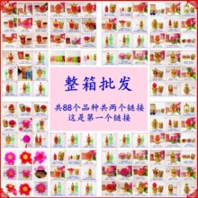 ������������ʮ����ӵ����Ϸ�С������������ȵ��ӵ�����������