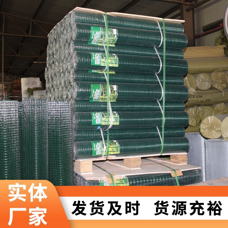 养殖用网小孔浸塑电焊网绿色卷网养鸡养鸭荷兰网圈地用网田园垂钓