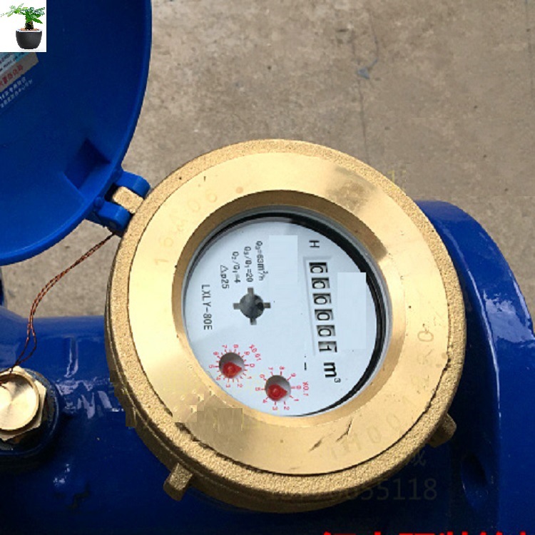 H旋翼式水表 型号:TB183-LXLY-80E库号：M407086