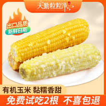 �������������r�SŴ���װ��o�Ǿ��Ǽ�ʳ��մ��b�ЙC��Ŵճ���׶�