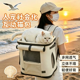 猫猫包、箱;猫猫玩具;猫厕所