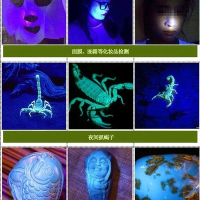 catching scorpions, beetles, and detecting counterfeit money, UV fənərlər