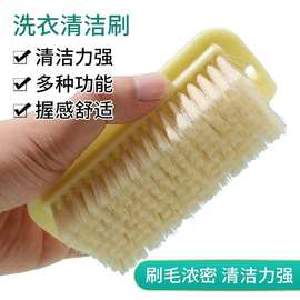 家用塑料刷子软毛洗鞋刷衣清洁多功能洗鞋不伤鞋神器衣服板刷衣刷
