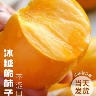 �ɿ���������10���rˮ�����̫���������Ӳ�t���������]��