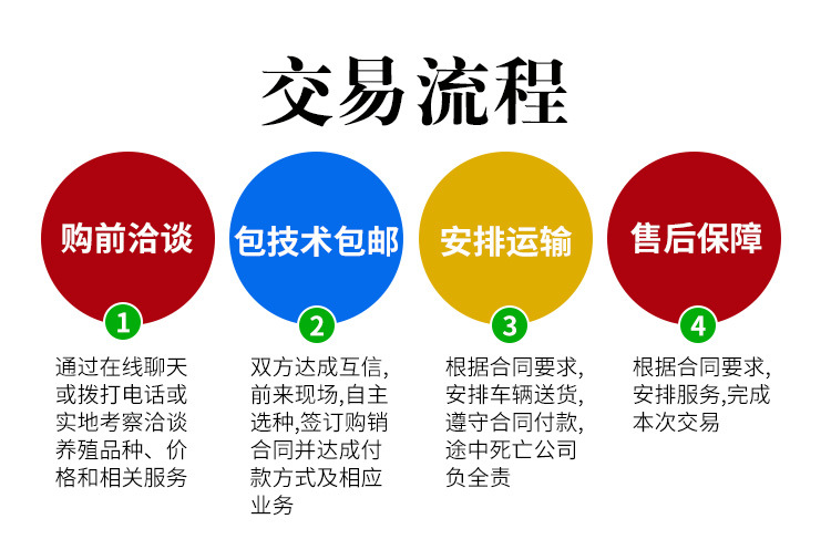 宠物园详情页_03