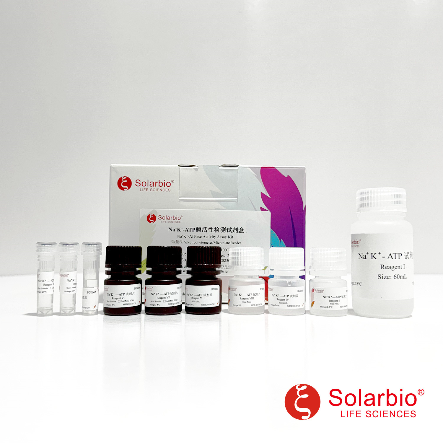 BC0065 S Na+k+——ATP酶活性检测试剂盒 微量法 科研用