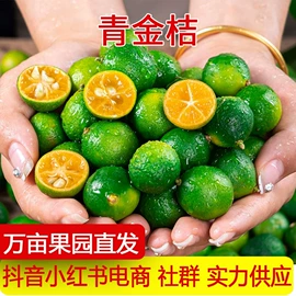 其他水果;哈密瓜;芒果