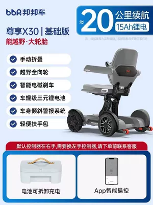 Amazon Cross-Border Mobile Phone-Controlled Qatlanan elektrik velosipedlər - basic-model-15ah