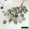 Gray -white green