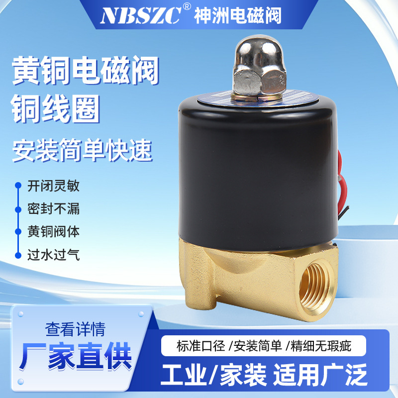 NBSZC 神洲电磁阀 黄铜水阀 2分 2W-08   2W系列电磁阀