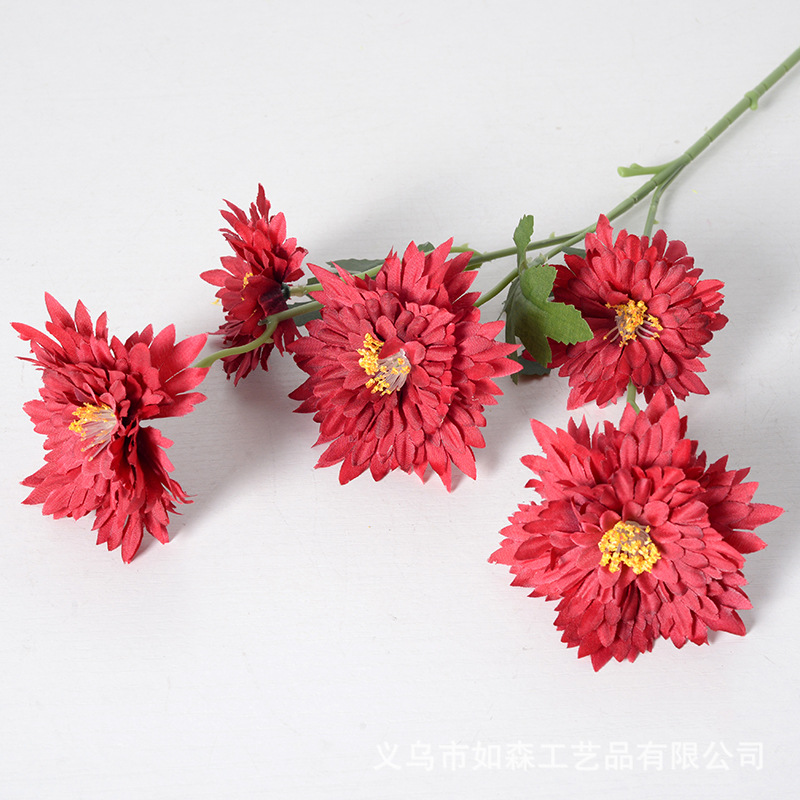 5 cabeza llama crisantemo rojo