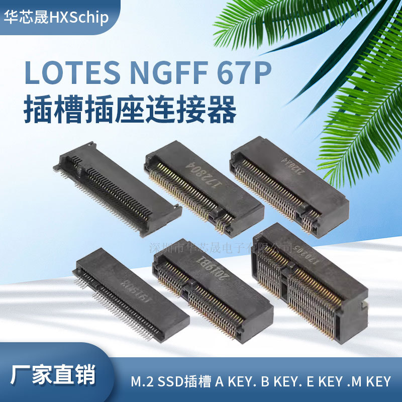 LOTES NGFF 67P连接器 M.2 SSD插槽 A KEY. B KEY. E KEY .M KEY