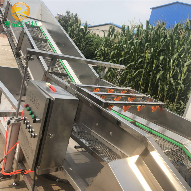 各种尺寸的气泡清洗机 腌渍藕片清洗脱盐机 水果清洗机