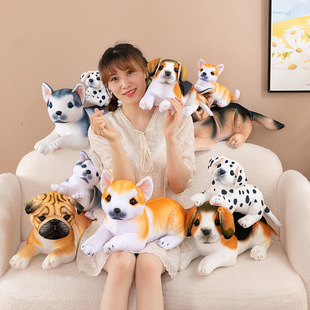 �F؛���湷��ë�q��߹��а��c������Ȯ�׸����_��Ȯ���й��S���l
