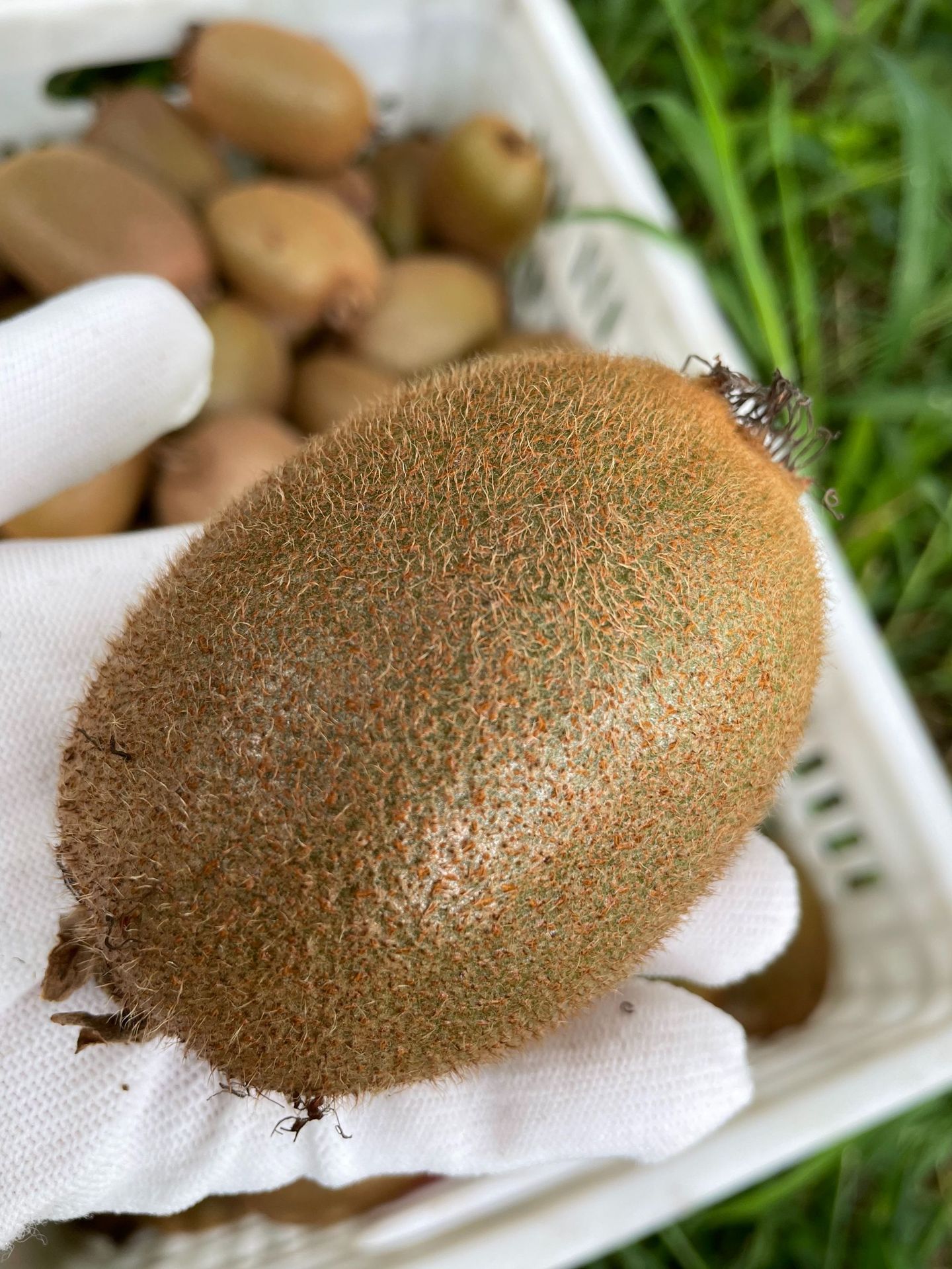 微信图片_20210818163634