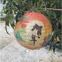 宝宝手工艺新年春节纸灯笼