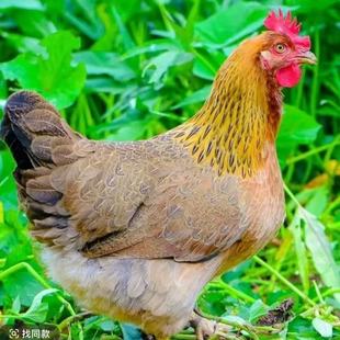 С�u����������u����wÓ��һ���������u���w�߮a�����u�����l