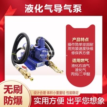12v液化气泵倒气泵24伏丙烷充气泵车载小型气泵220v液化气导气泵