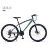 Gray spoke wheel