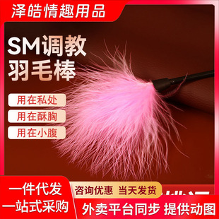 ��ۼ���smС��ë���{���������޴�߶���߷�Ȥ���ô�����������